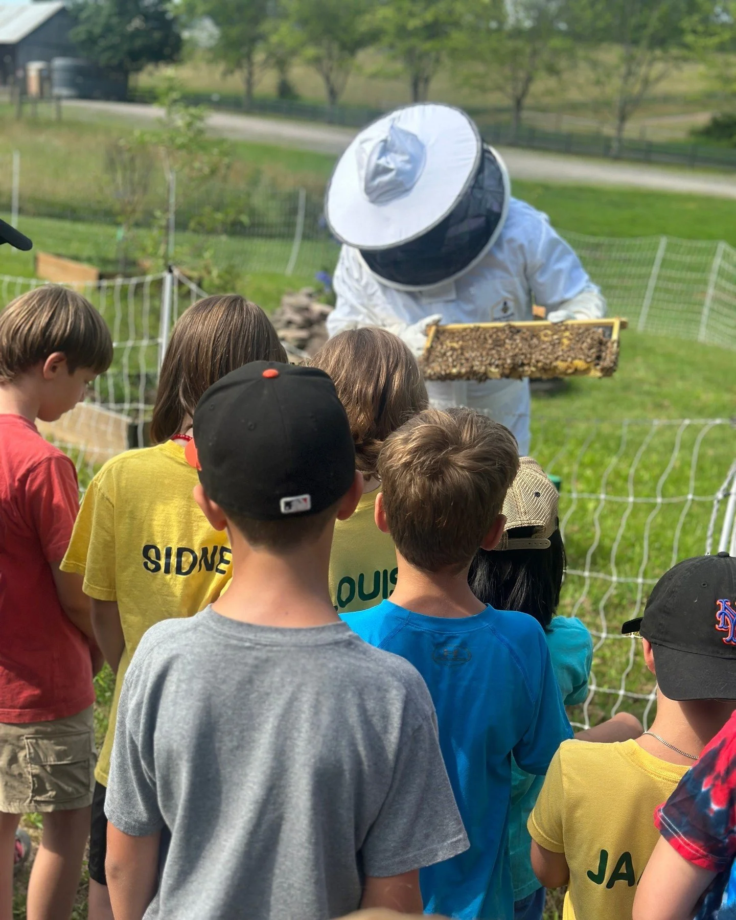 Bees are some of nature&rsquo;s best helpers 🐝! They spend their days visiting flowers 🌸 and carrying pollen from place to place, helping plants grow 🌱 and keeping our forests and fields bright and colorful 🌼. They live and work together in big h