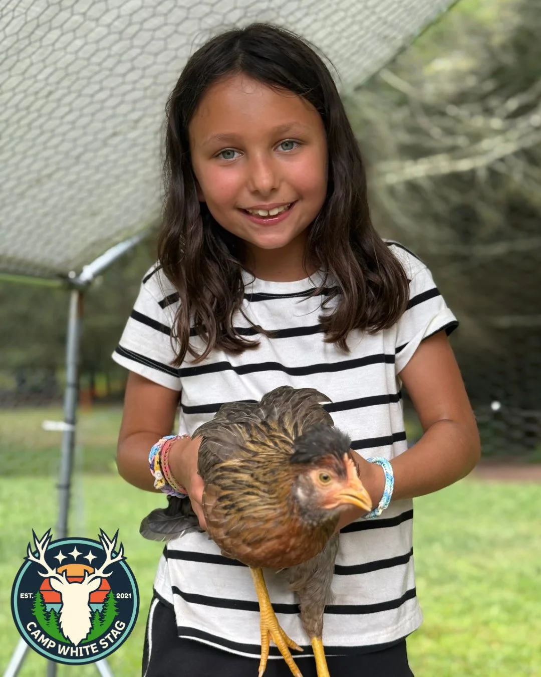 Farm life adds something special to each day at Camp White Stag 🐐🐔🌿

From morning check ins with the animals, to spending time outdoors, learning, and helping out, these moments give campers a chance to slow down, build responsibility, and feel co