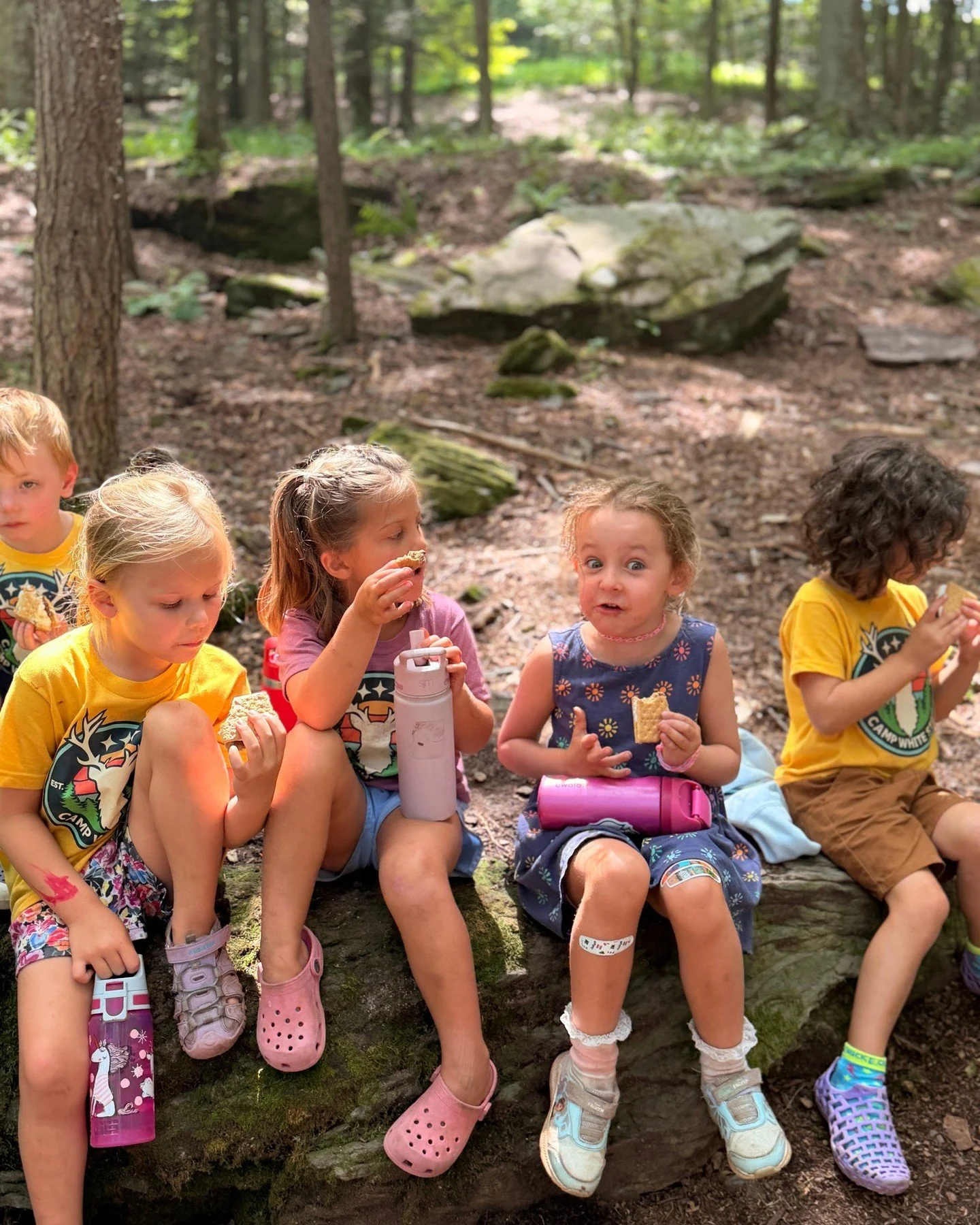 🏕️💚 Session 9 Midweek Update! 💚🏕️

It&rsquo;s been another fun week at Camp White Stag! 🌿 Campers have been spending lots of time exploring nature, participating in team building activities👏, getting creative with arts &amp; crafts 🎨, and enjo