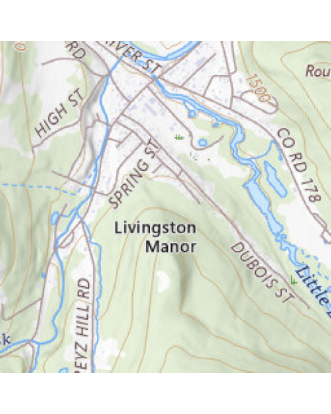 Camp White Stag shuttle service Livingston Manor passenger van (1).png