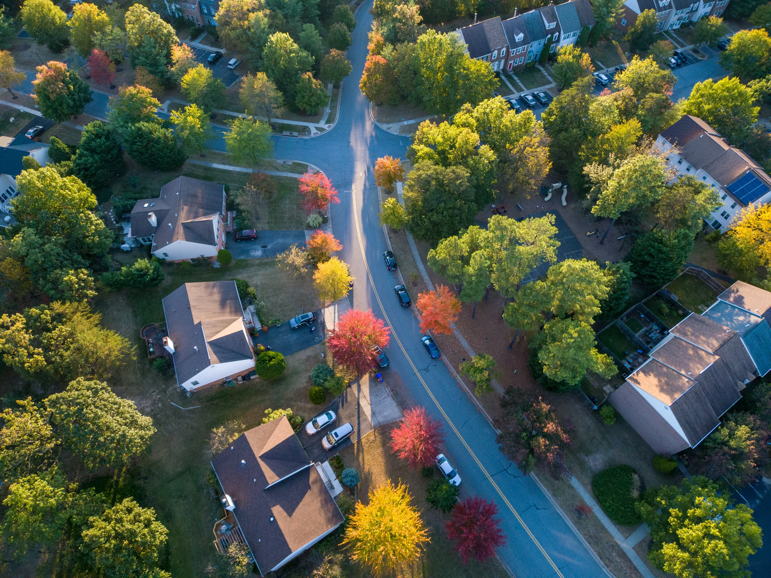 Aerial-view-of-fall-foliage-1227458769_4000x3000.jpeg
