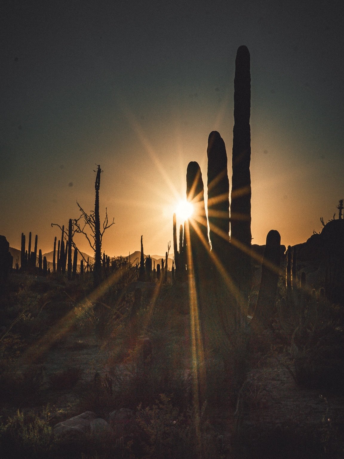 How remote can fine dining be? Not sure yet. But we are going to find out!

#foodinthewild #overlandlife #bajaadventures