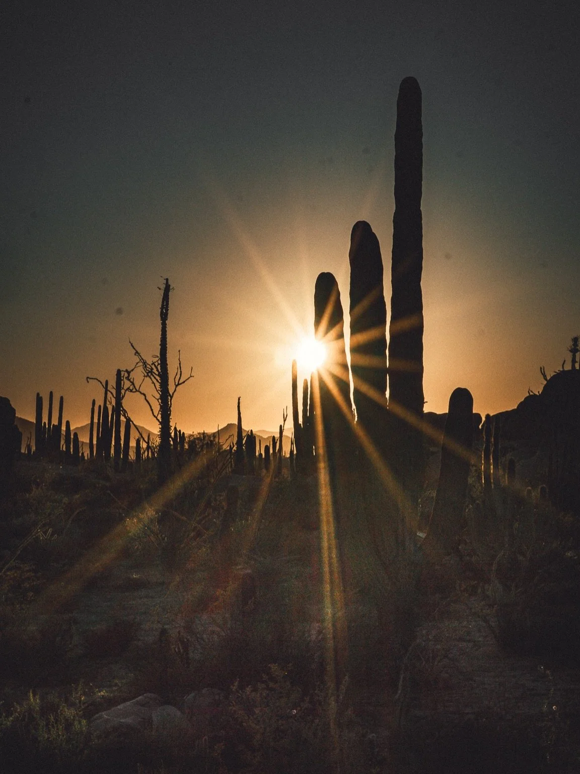 How remote can fine dining be? Not sure yet. But we are going to find out!

#foodinthewild #overlandlife #bajaadventures