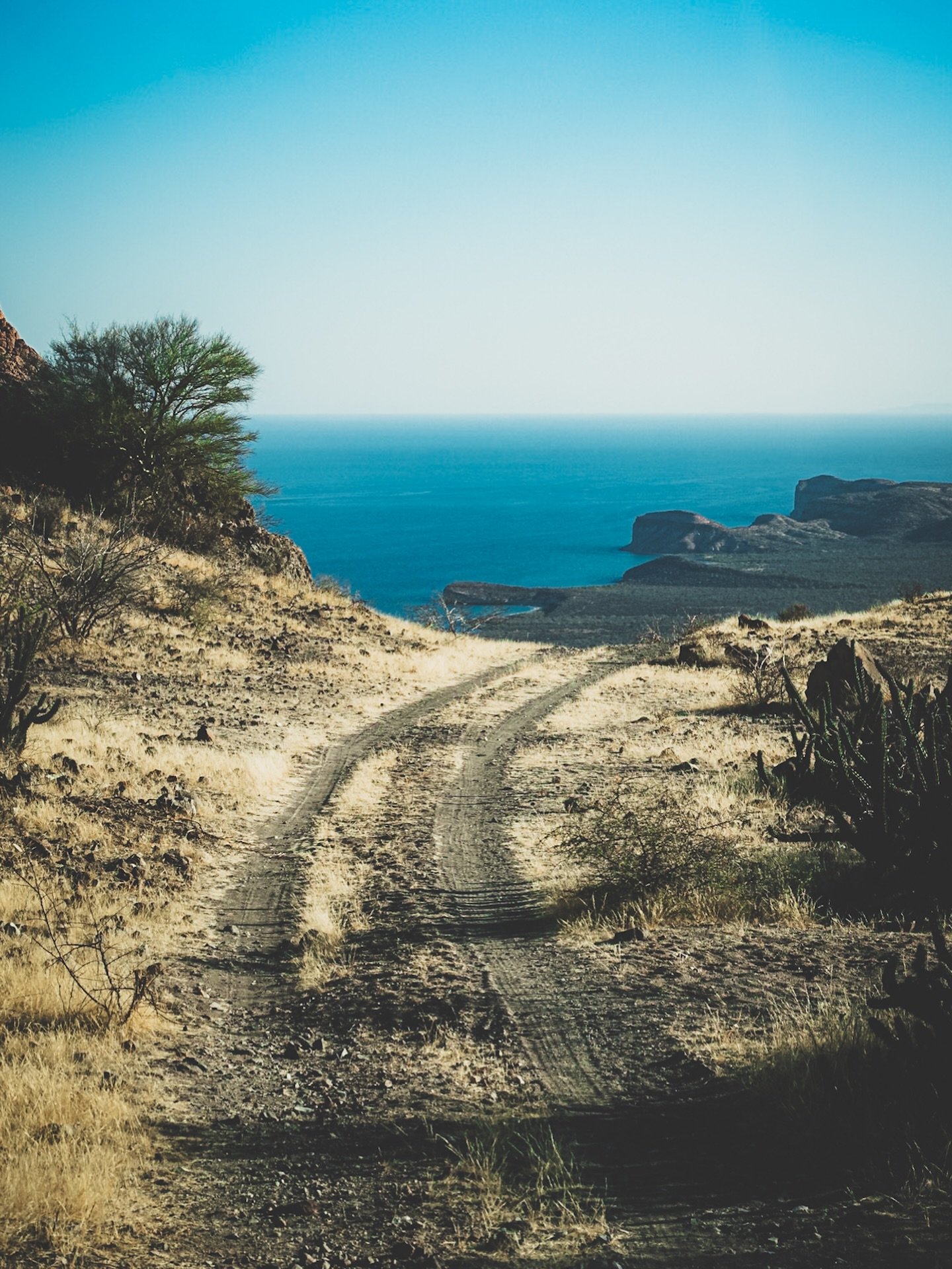 When you&rsquo;re at 1500 feet and only a couple miles to the beach you know it&rsquo;s about to get interesting! 

#exploring #baja #overlandlife #offgrid