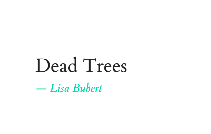 Screen Shot 2024-10-30 at 9.11.37 AM.png