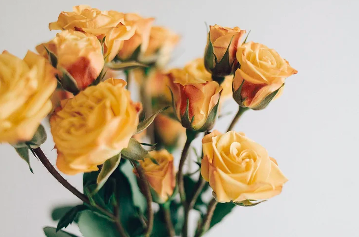 Screen Shot 2024-10-30 at 9.04.41 AM.png