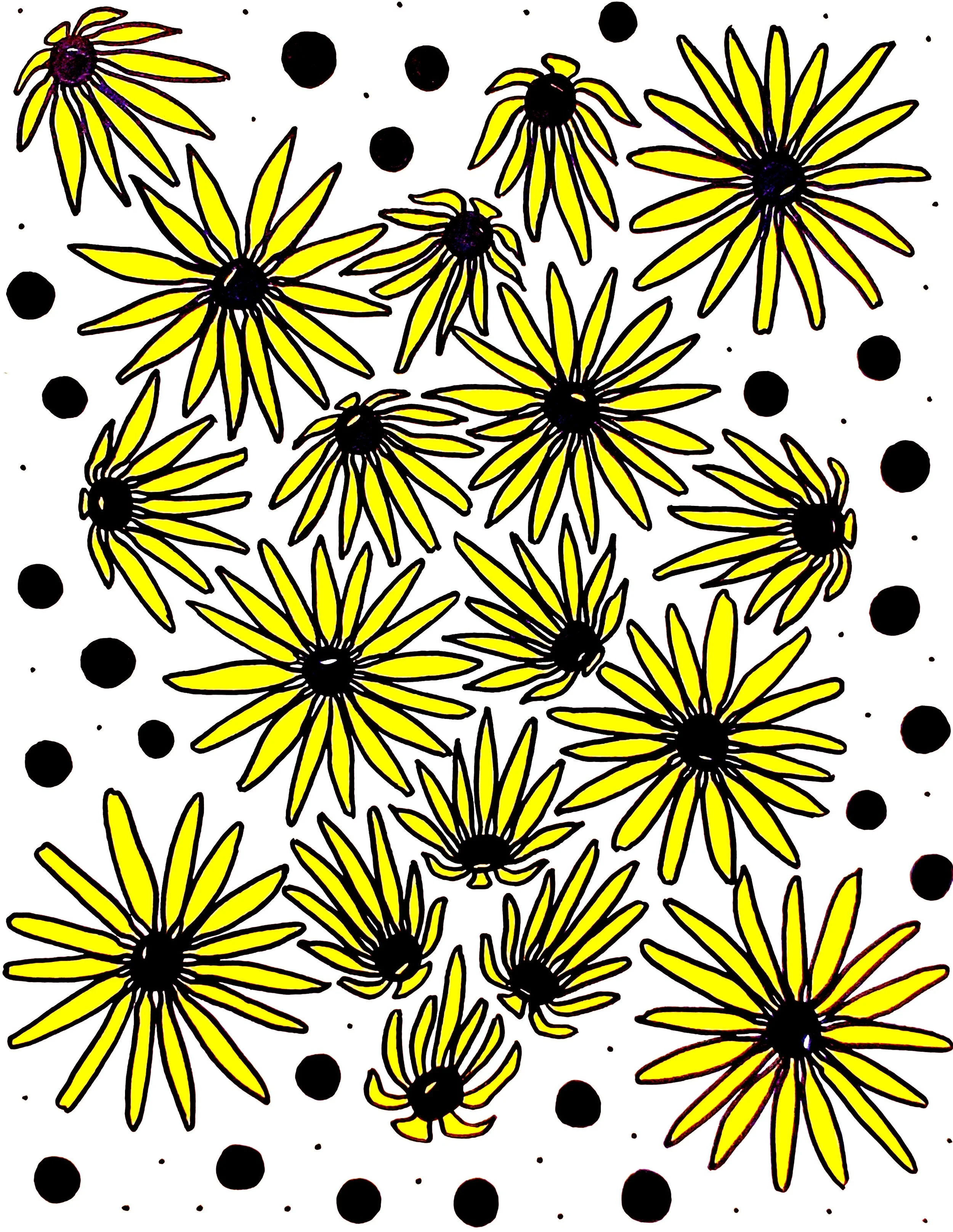 Black-Eyed Susans