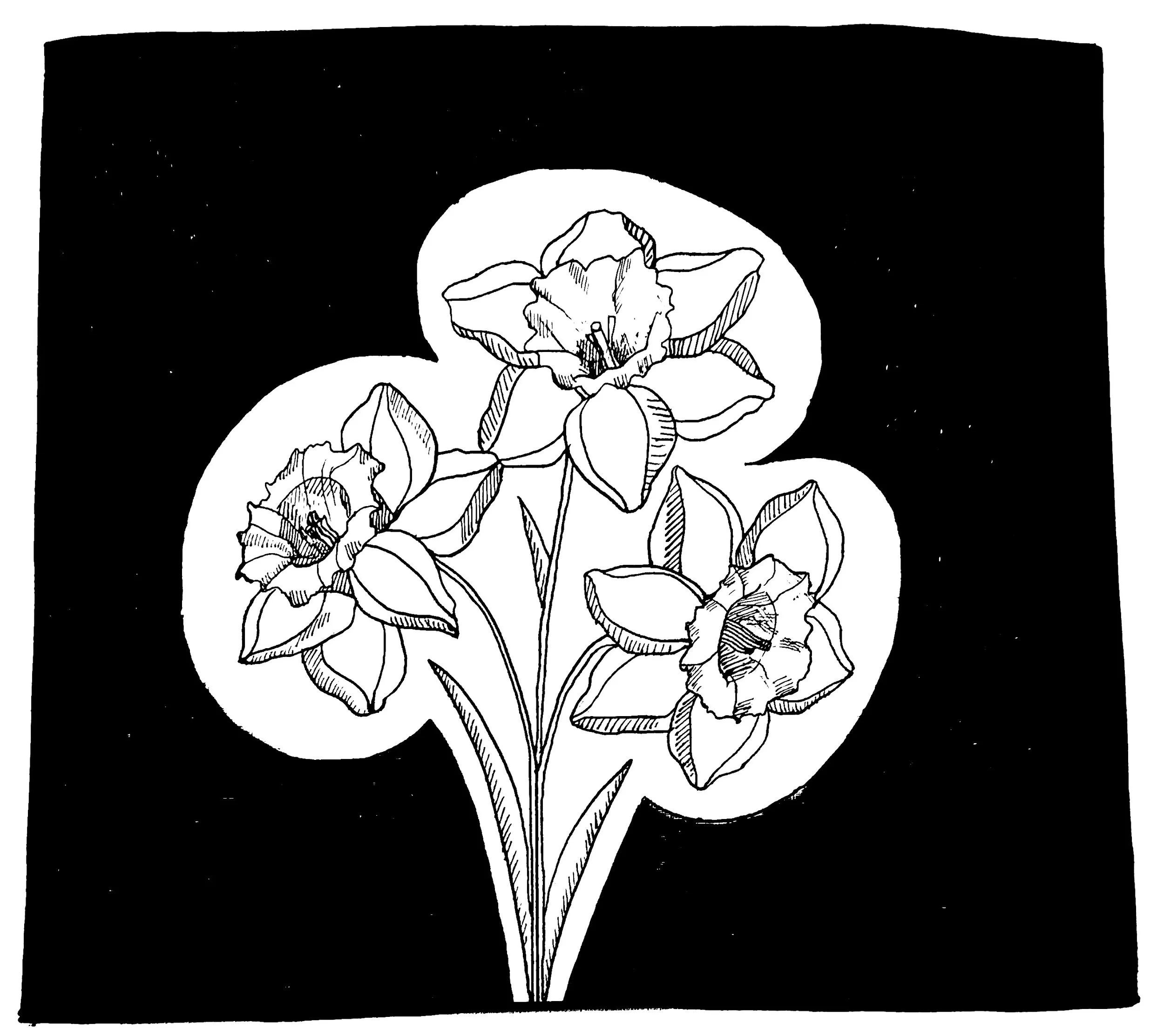 'To Daffodils' Poem Illustration