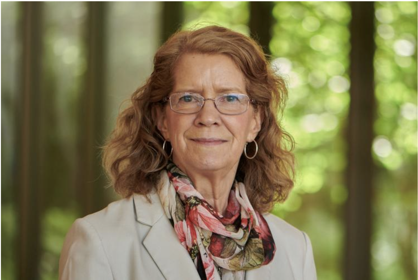 Seminar: “Designing Effective Environmental and Conservation Policies: The Role of Collective Approaches”
