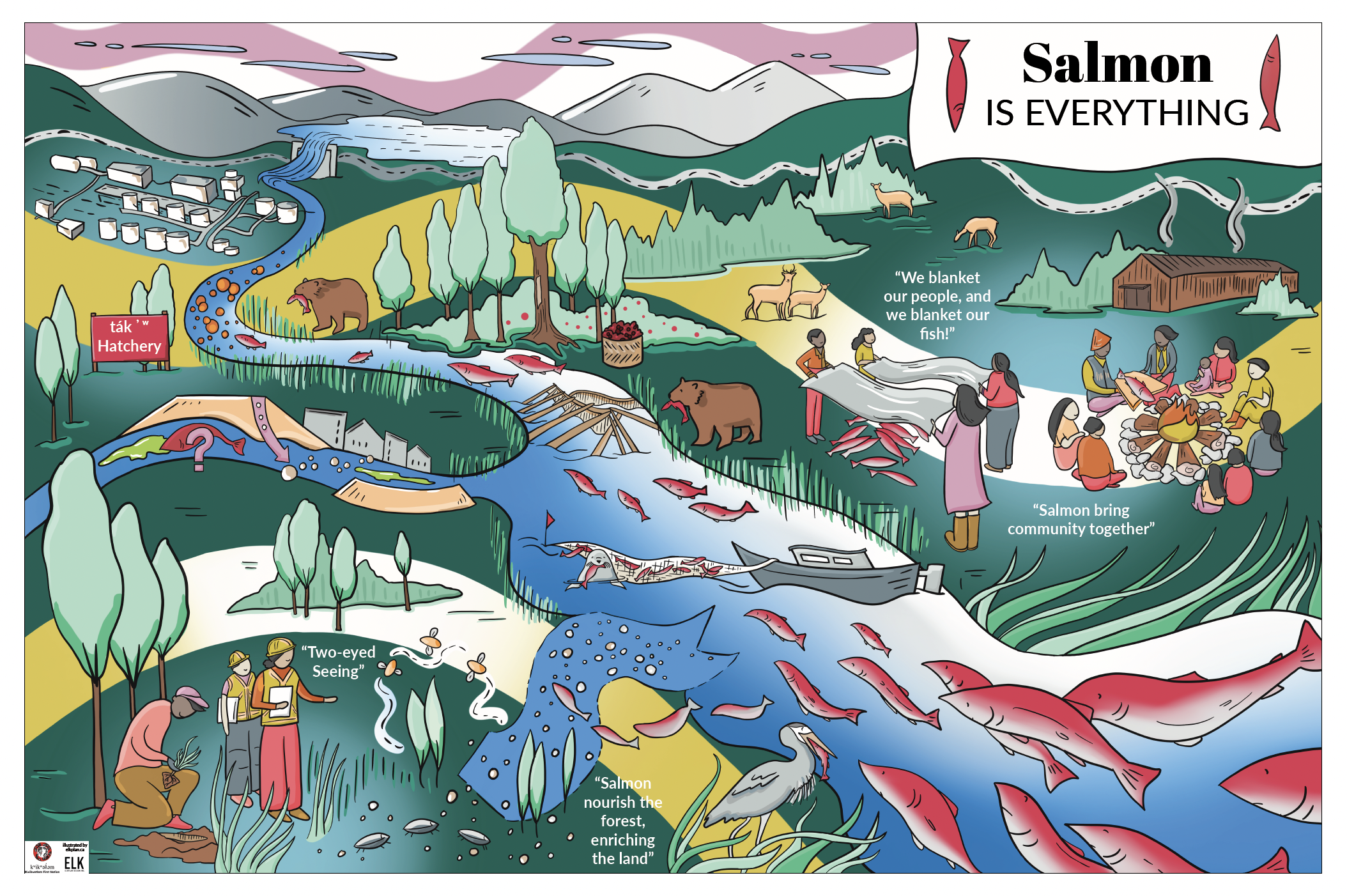 Mapping the Salmon Journey with kʷikʷəƛ̓əm First Nation — Elkplan