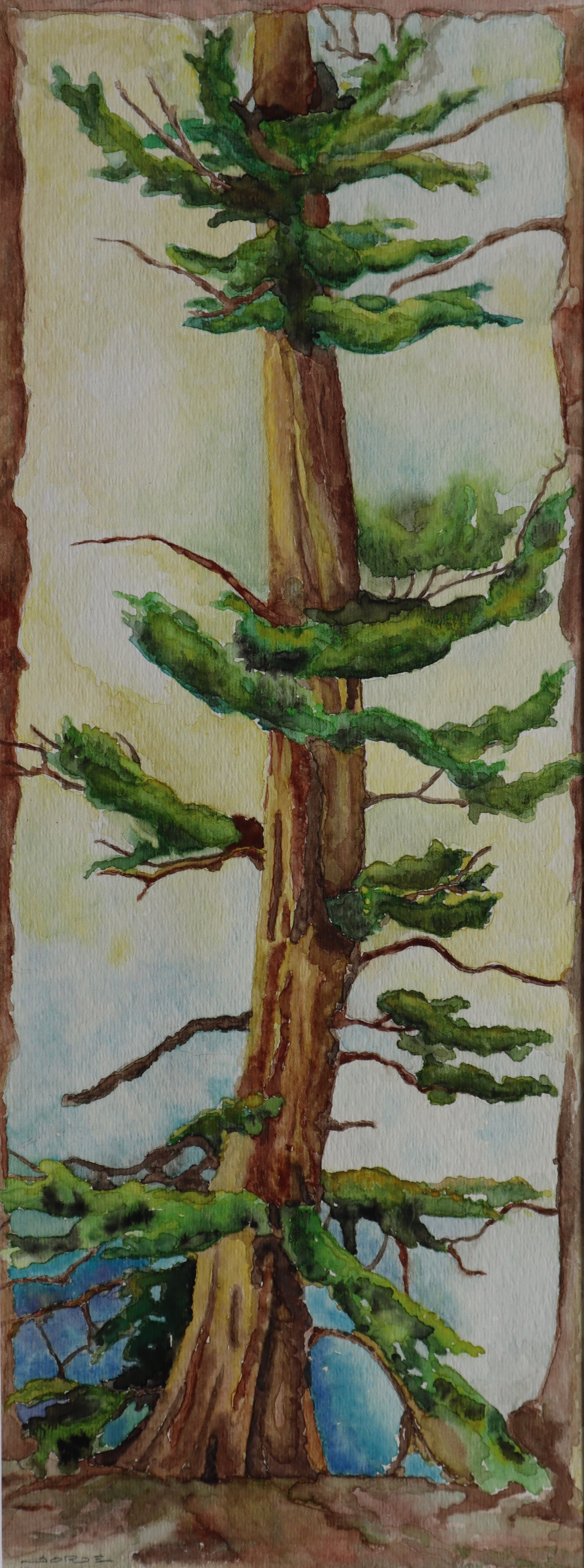 Redwood, Watercolor, 5.5%22 X 14.5%22.jpeg