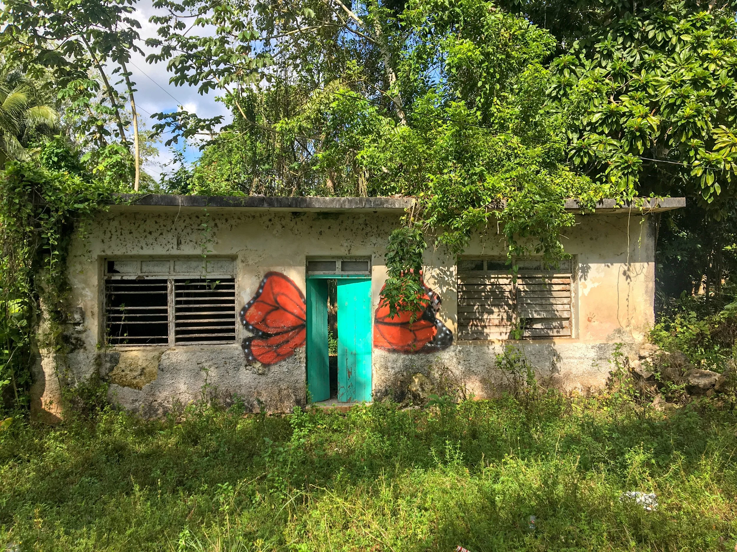 butterfly house.jpg