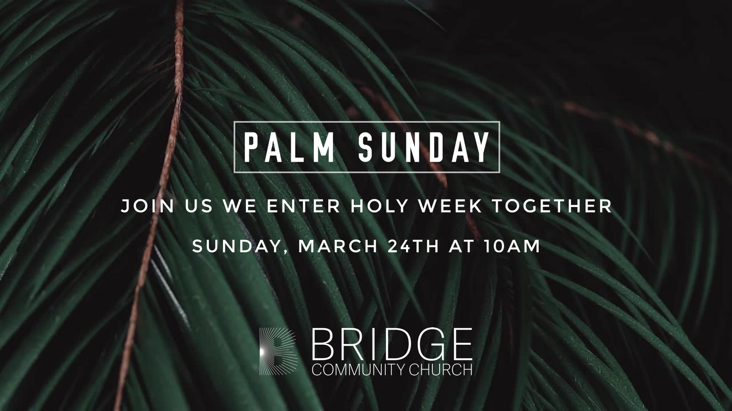 Palm Sunday episode artwork