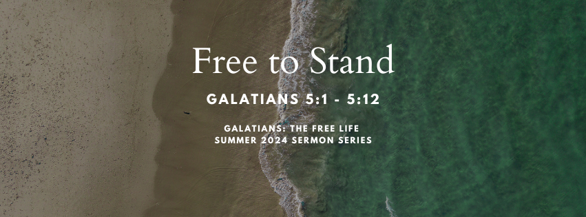 Free to stand episode artwork