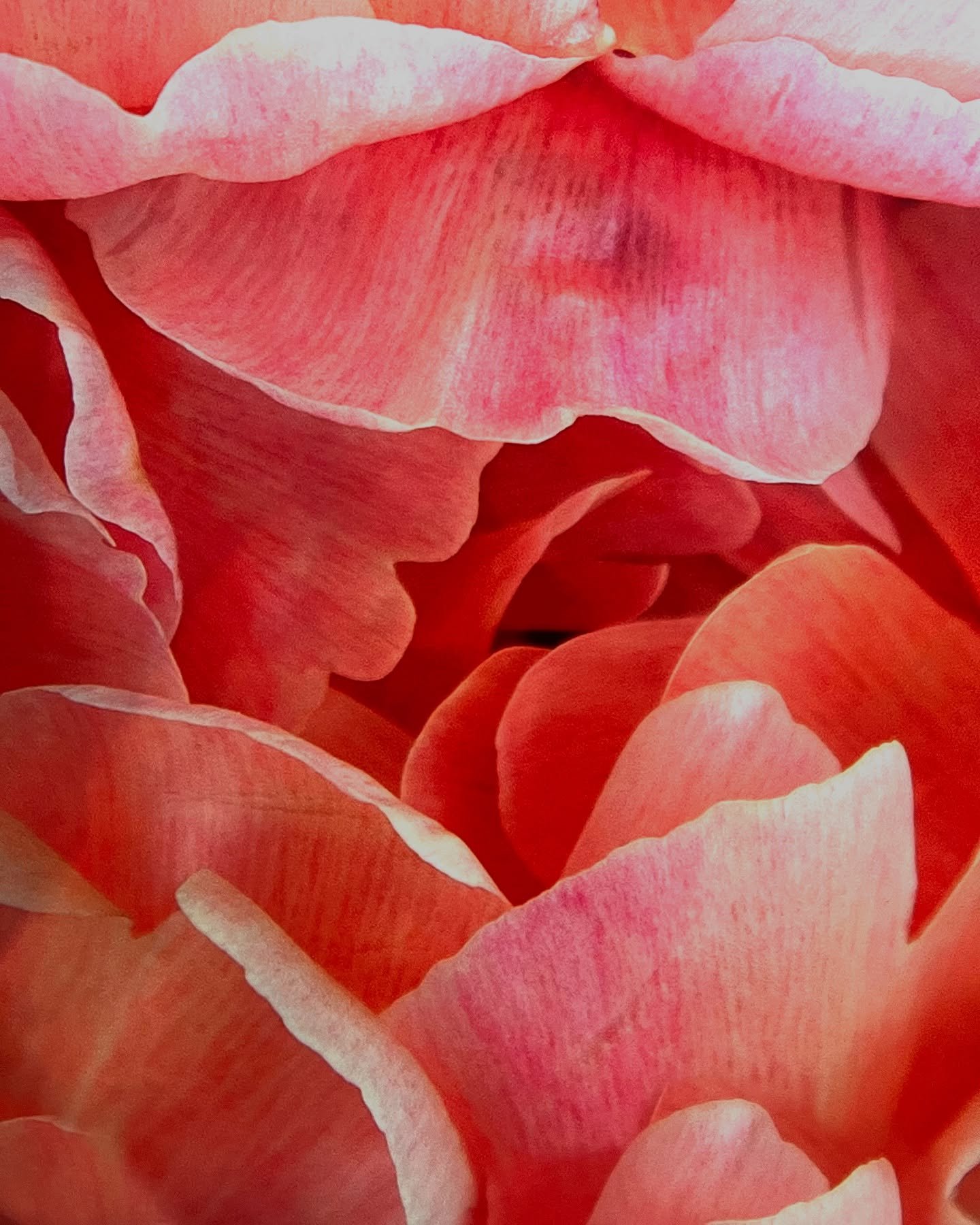 Oh Hellloooo Gorgeous 

This delicious beauty has just been delivered - and I haven&rsquo;t even named her yet. 

Be Original. Buy Original.

ART ELEVATES&hellip;.
Your Office. Your Home. Your Life.

#saatchiart#igart#womeninart#contemporaryart#colle