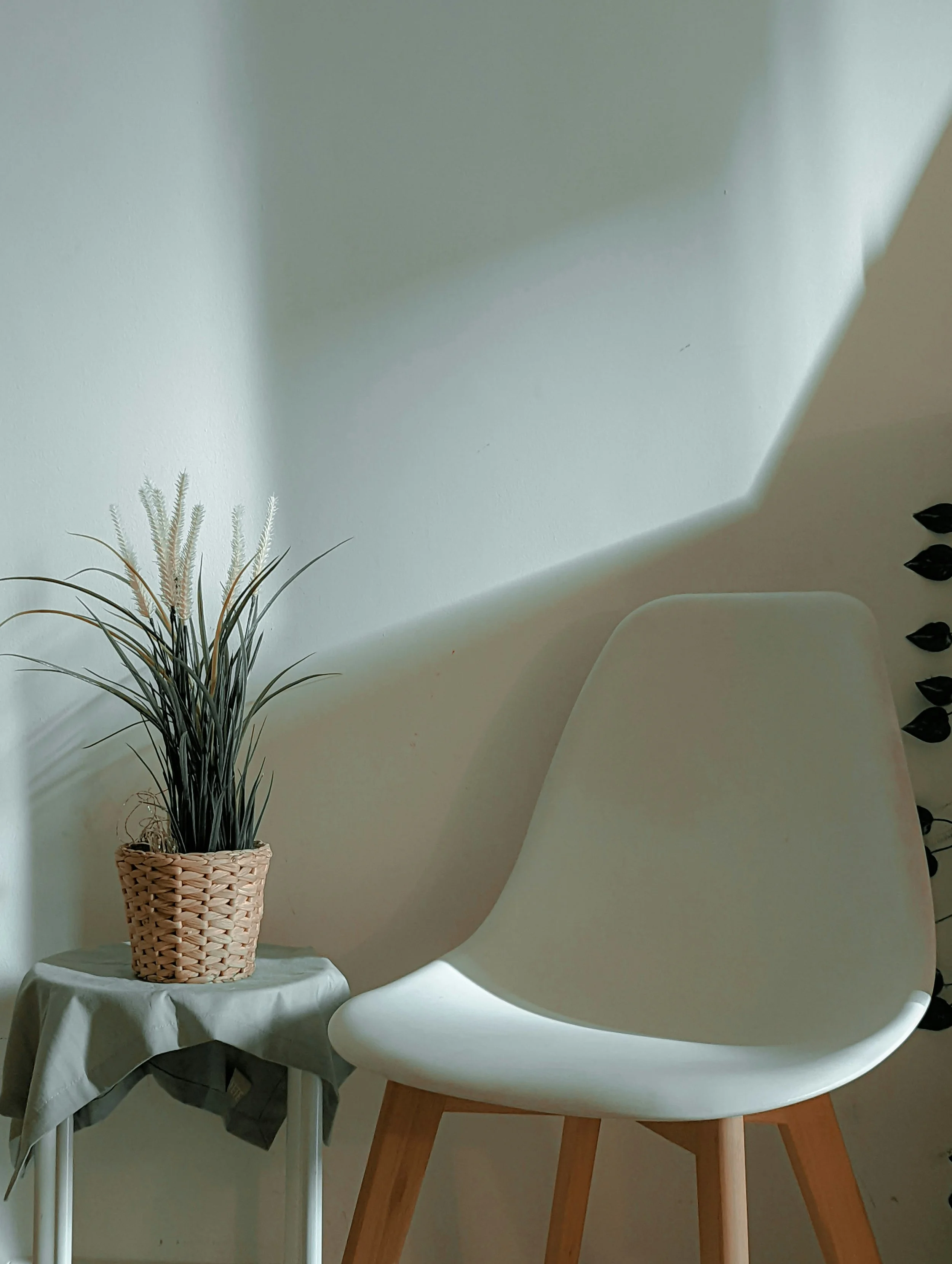 A white modern chair with wooden legs next to a small round table with a plant in a woven basket, against a light-colored wall with a shadow.
