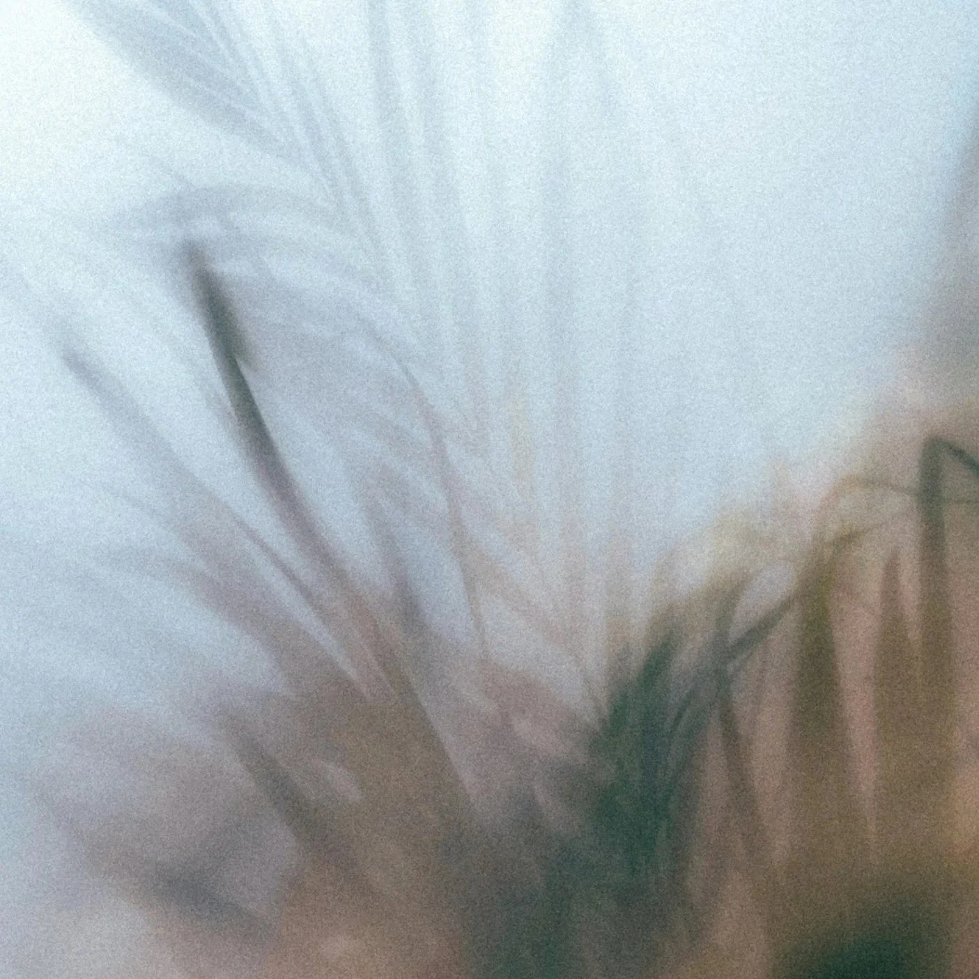 Abstract horizontal light movement illustrating the process of bilateral stimulation used in EMDR to process traumatic memories.