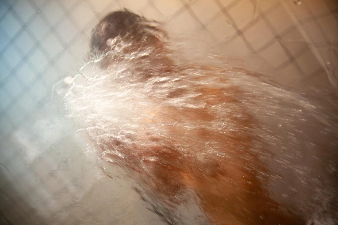 Water Painting

#waterfall #painterlyphotos #painterlyphotography #rawphoto #fineartphotography #londonphotographer #londonmodel #londonphotographers #londonphotoshoot