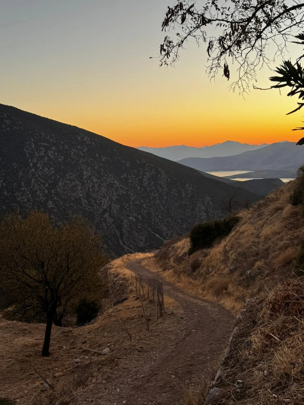 WhatsApp Image 2024-10-29 at 7.13.45 AM.jpeg