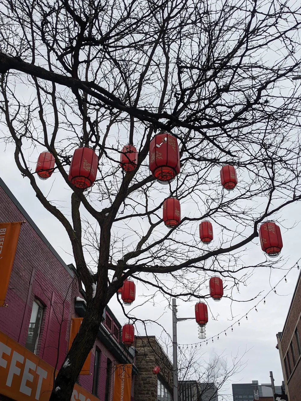 WhatsApp Image 2024-12-09 at 8.51.57 PM (2).jpeg