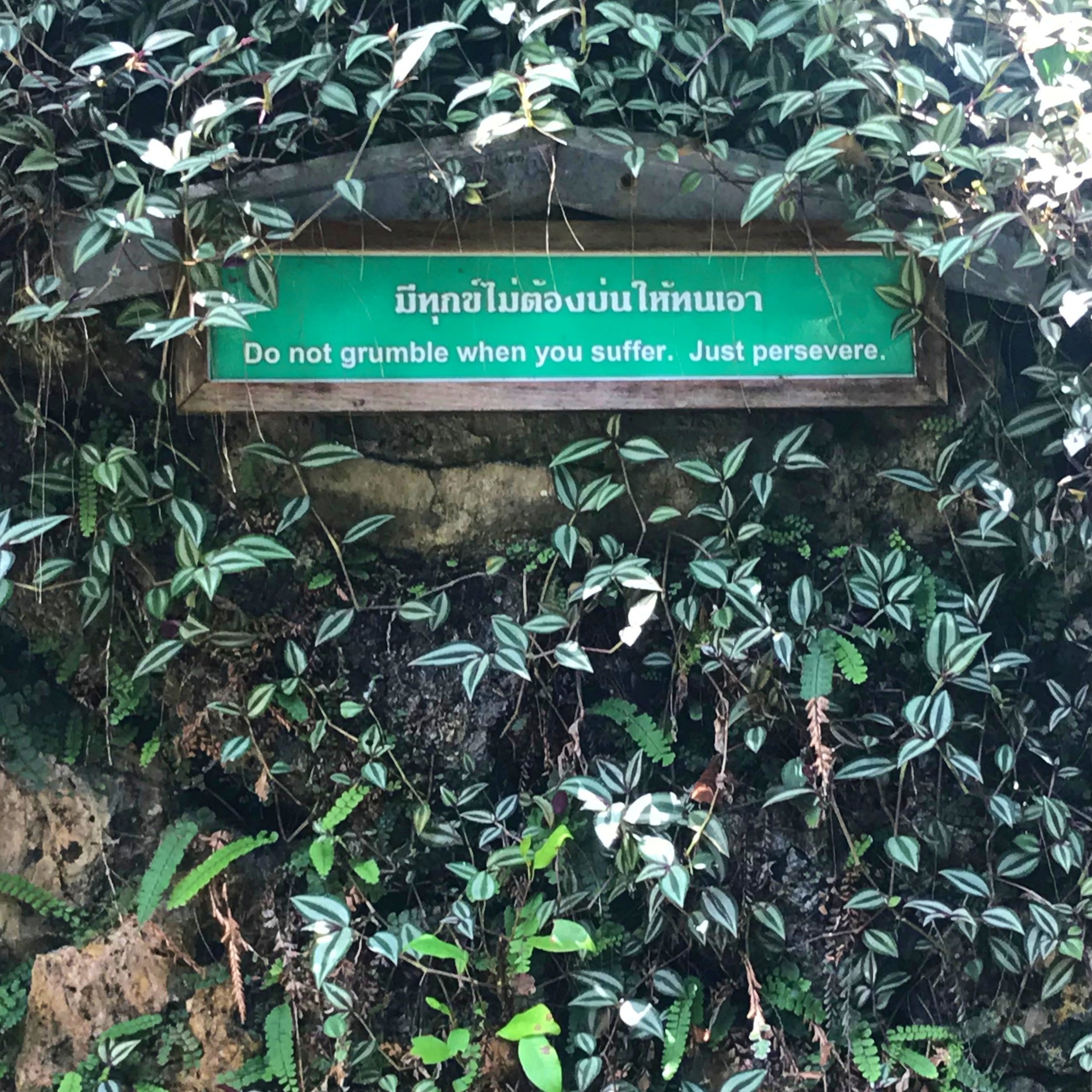 inspirational sign in Chiang Dao Thailang