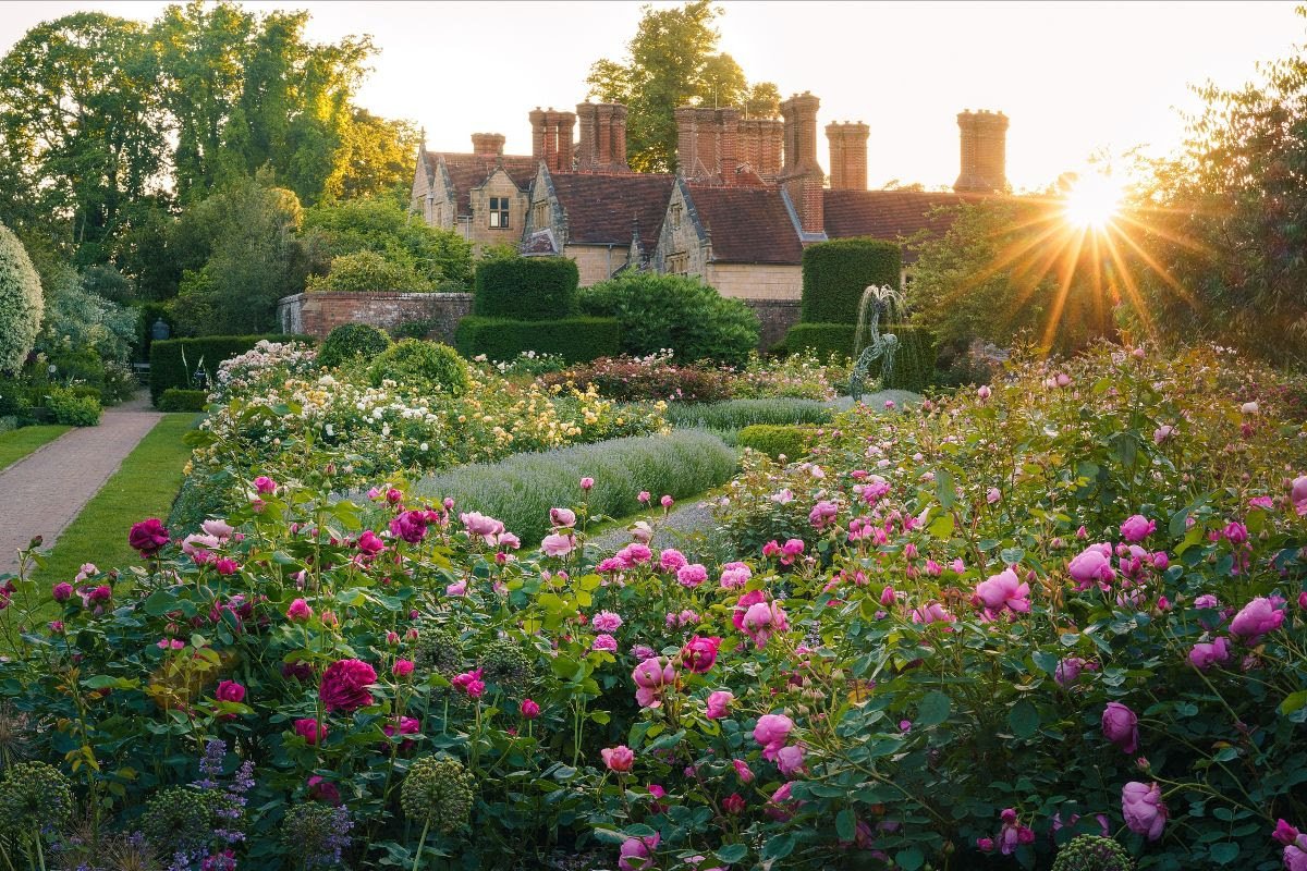 Borde Hill rose garden.jpg