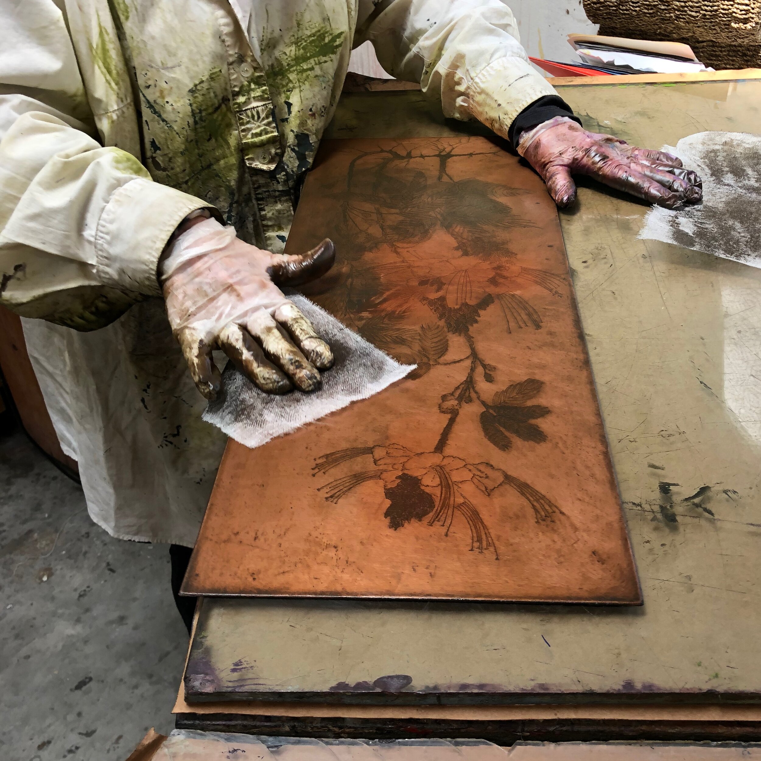 Atelier Frances Swigart_Botanicals_Hybridum_wiping plate_IMG_1127.jpeg