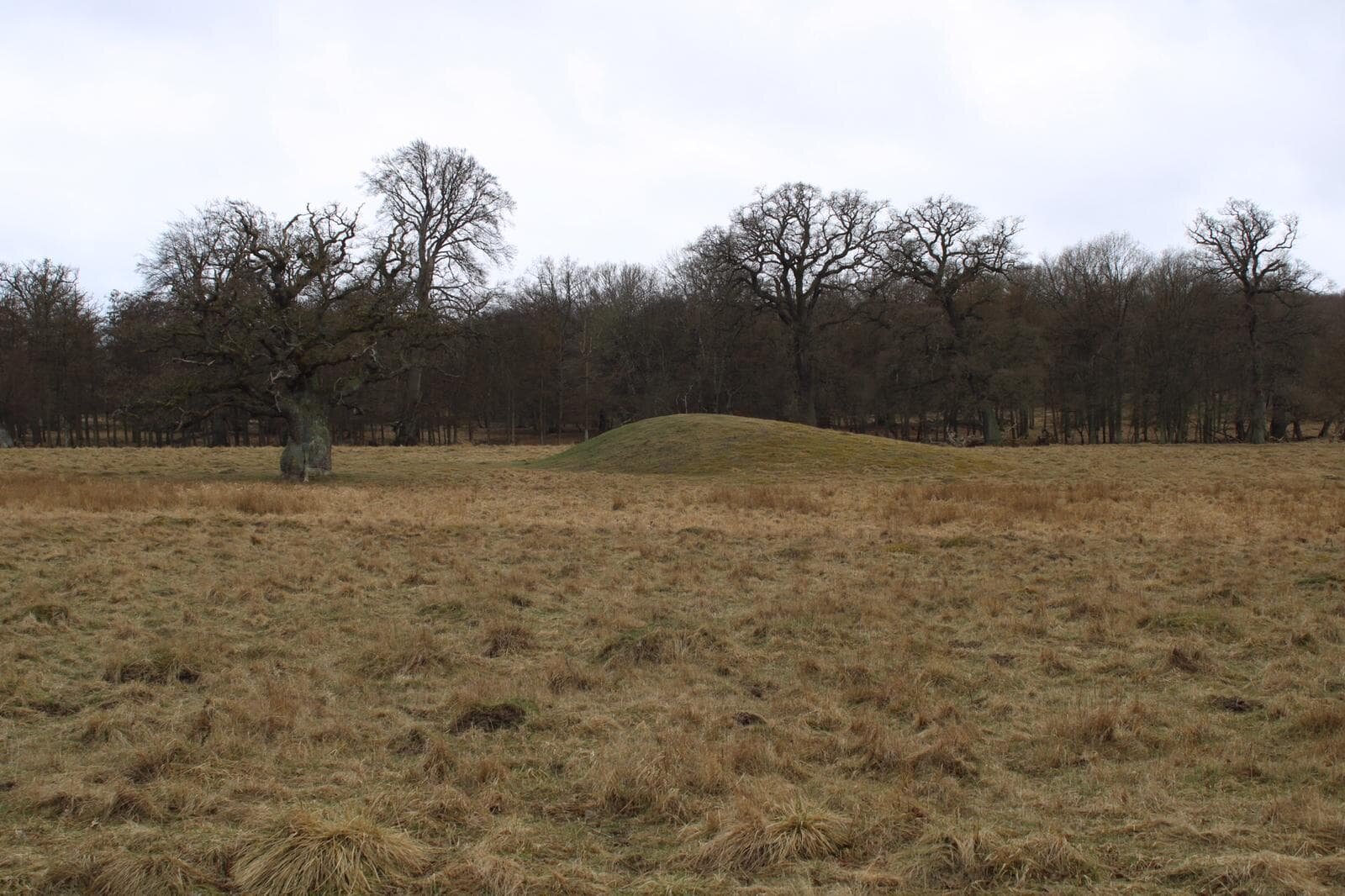burial mound archaeology klampenborg.jpg