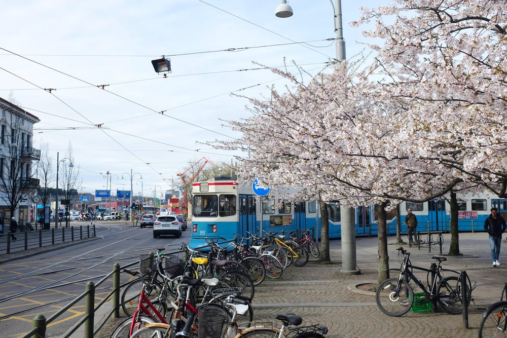Gothenburg tram.jpg