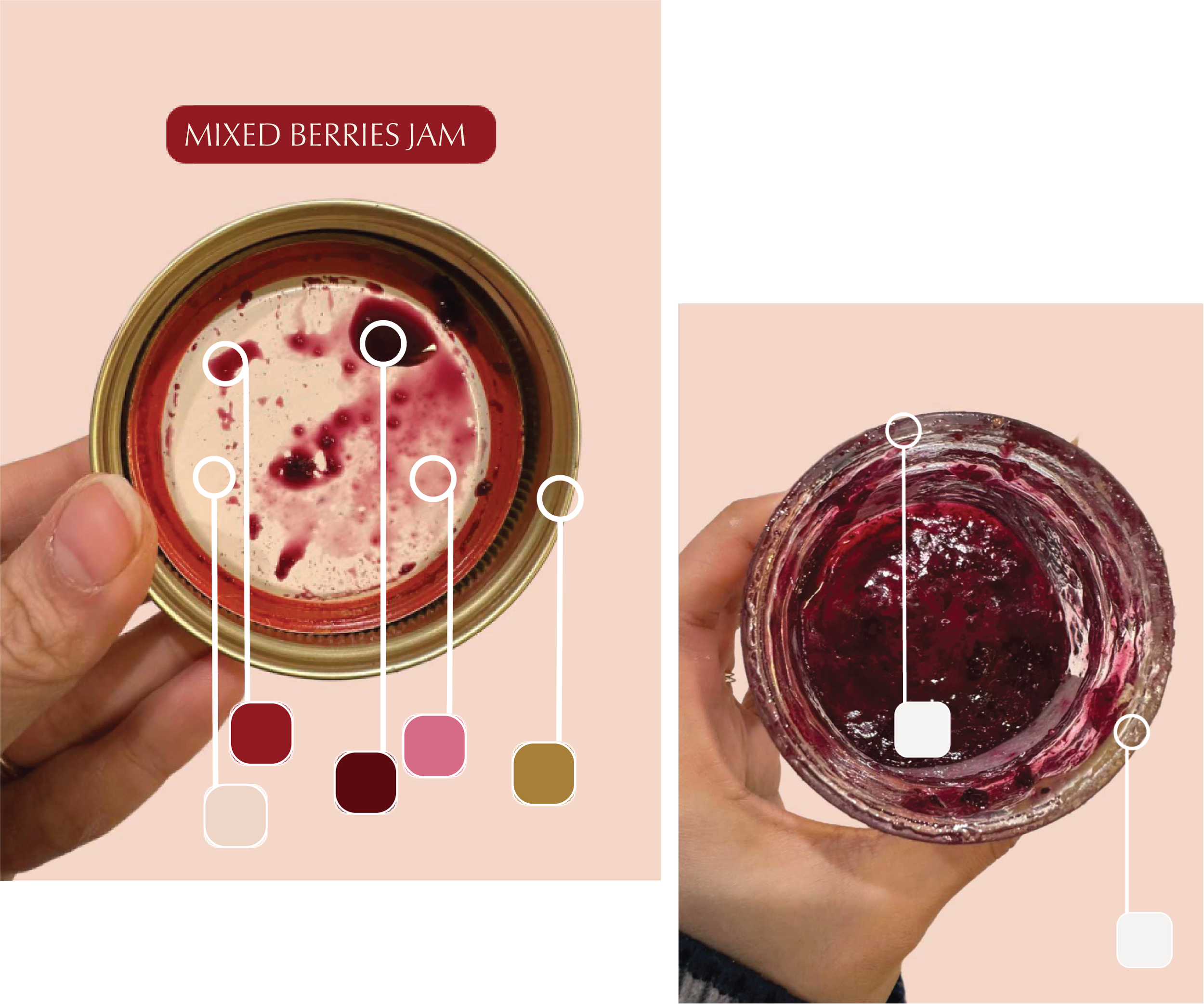 Crisp Olive™ Studio branding asset showcasing how it extracts authentic brand identity colors for a premium jam brand small business