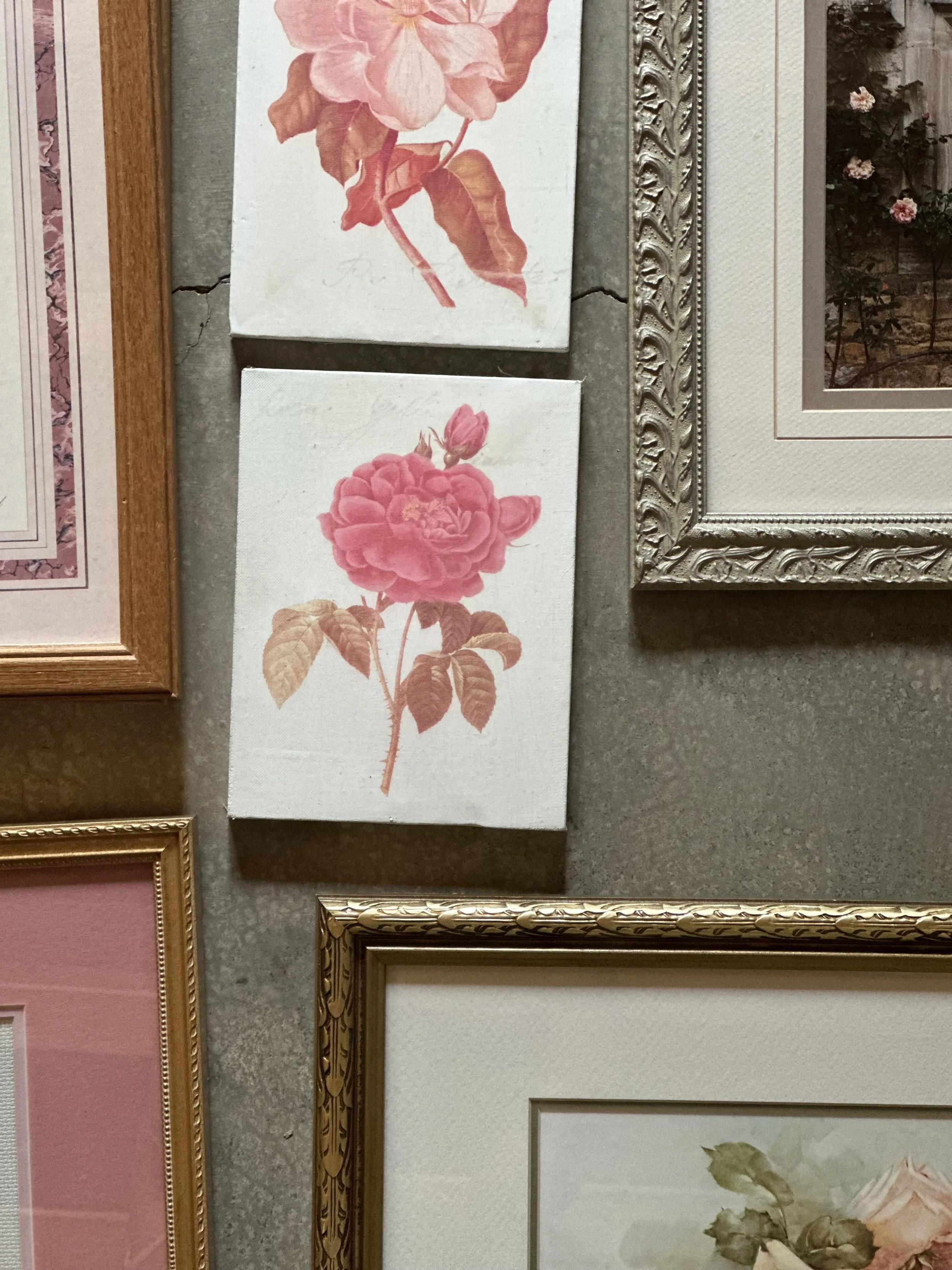 IMG_0061.jpeg