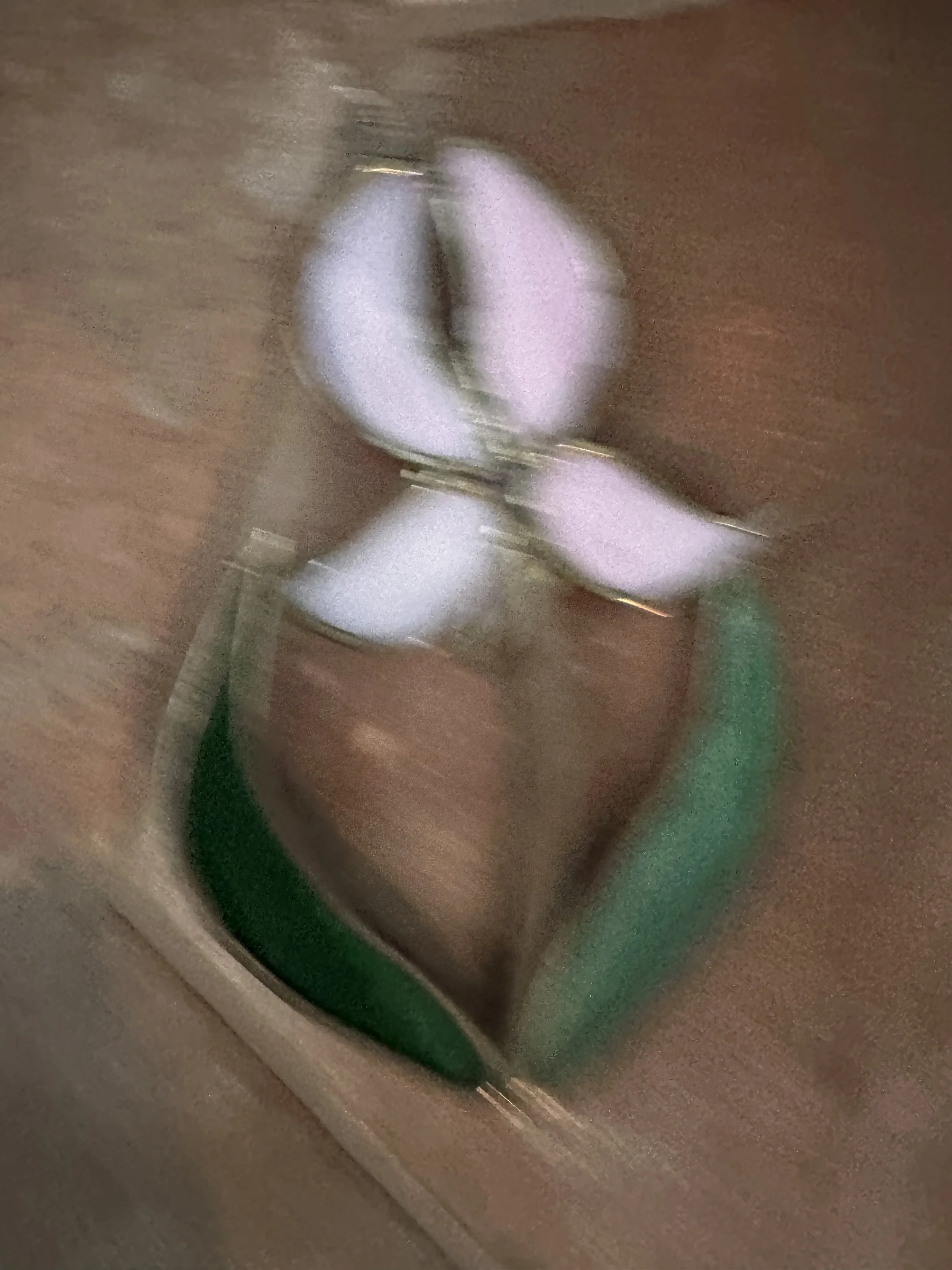 IMG_0047.jpeg