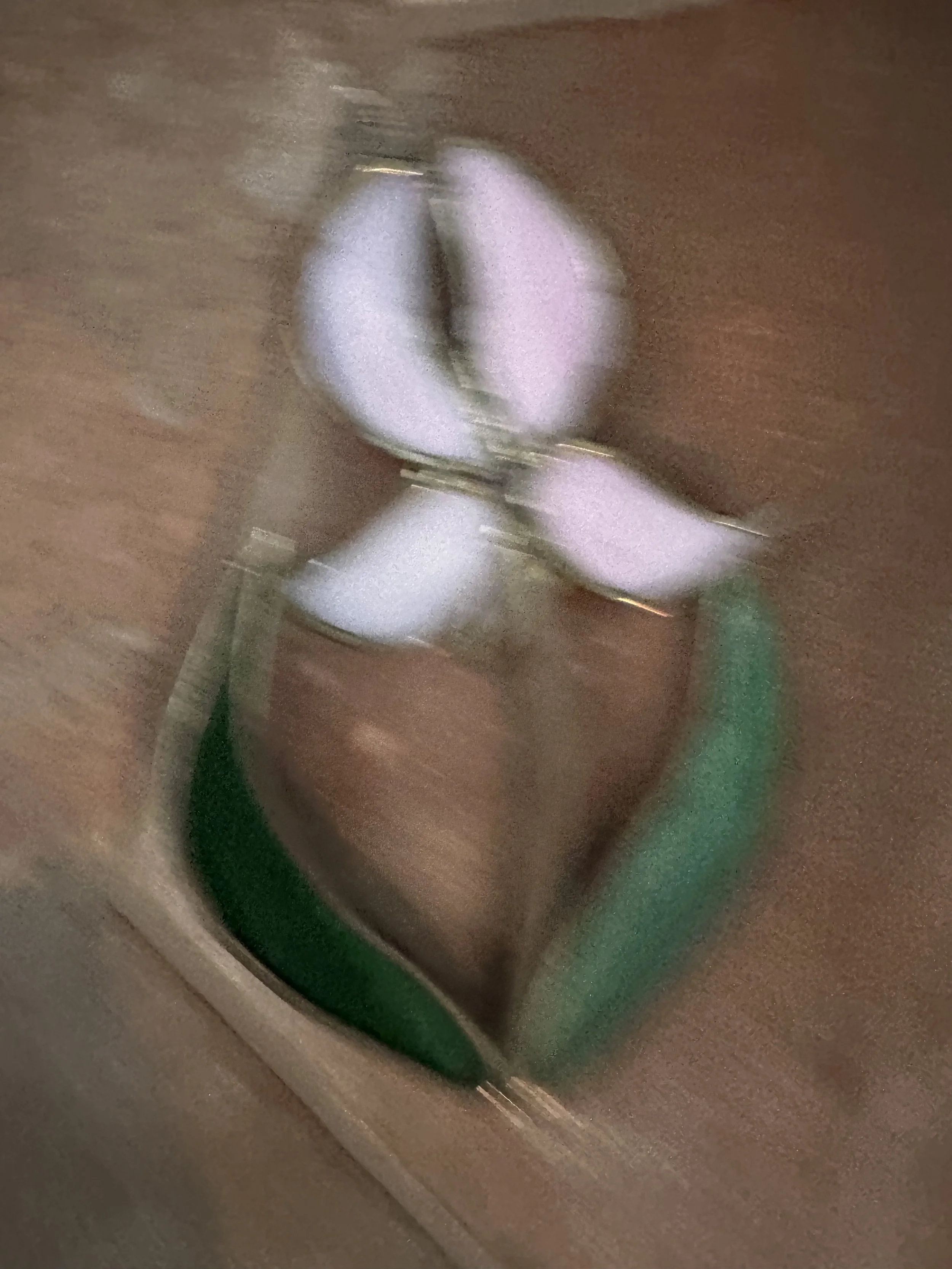 item-from-crisp-olive-treasured-find-collection.jpeg