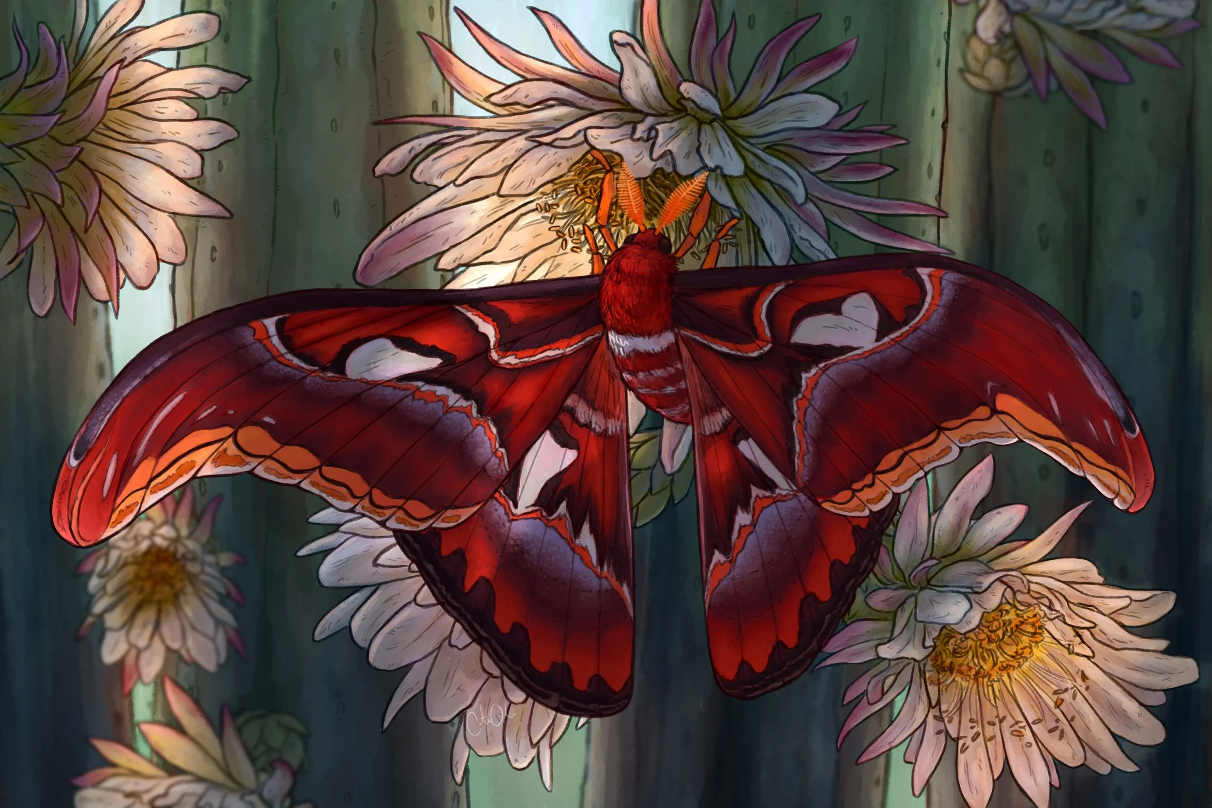 cactus atlas print.jpg