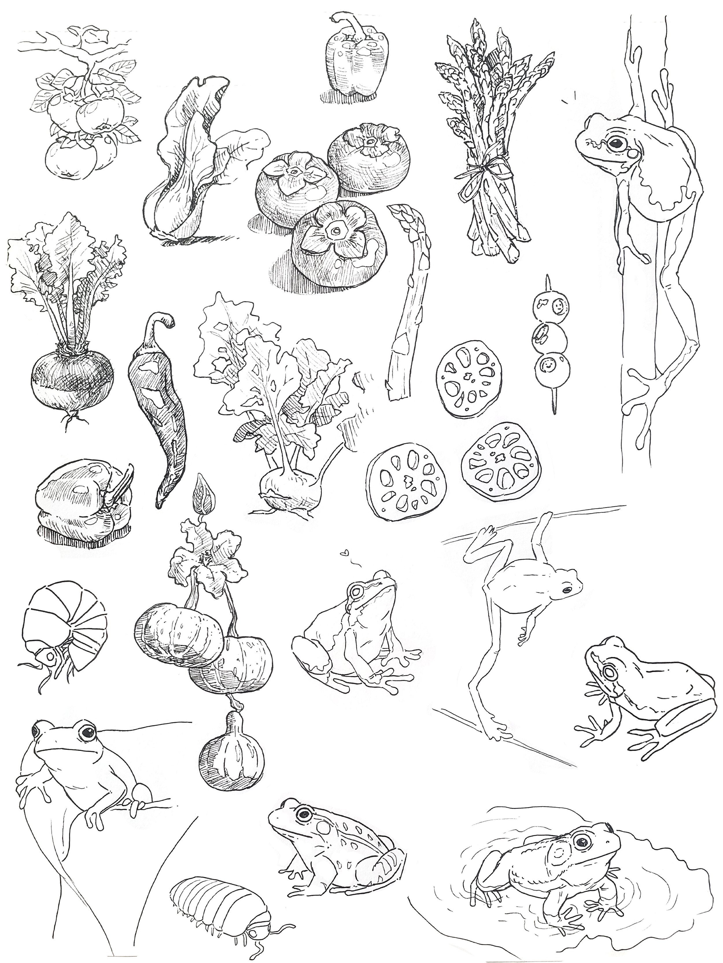 veggies & frogs.jpg