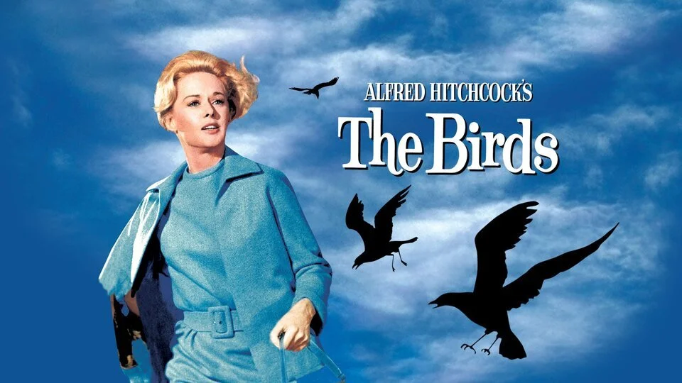 $5 Movie: Alfred Hitchcock’s The Birds (1963)