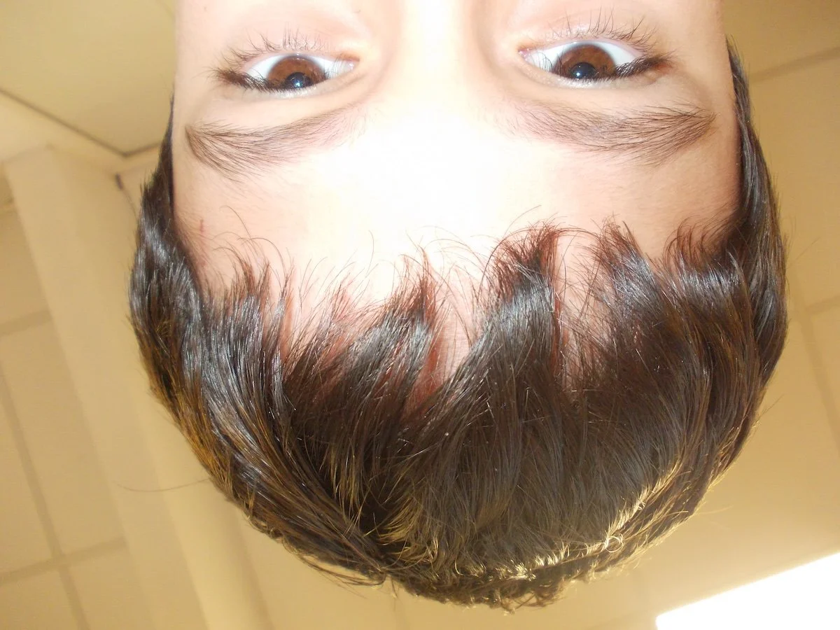 DSCN0051 - copie.jpeg