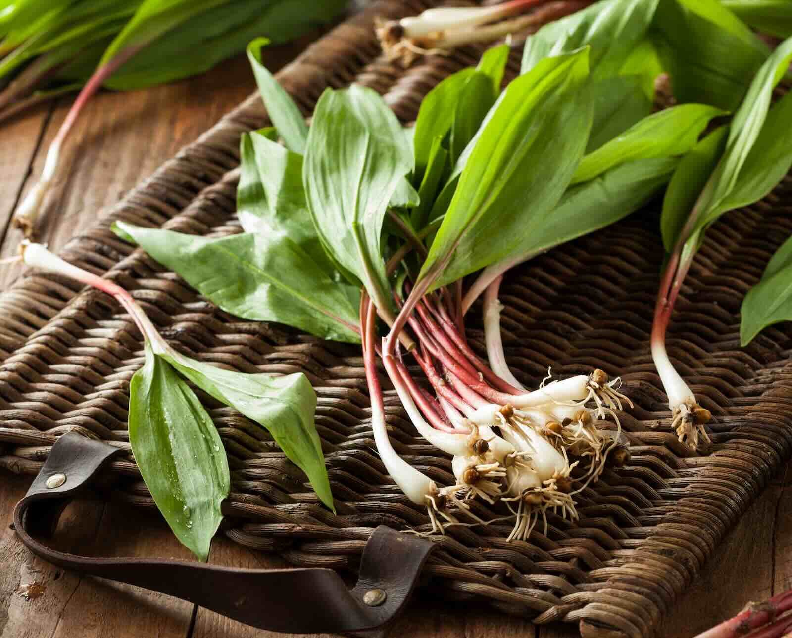 Ramps.jpg
