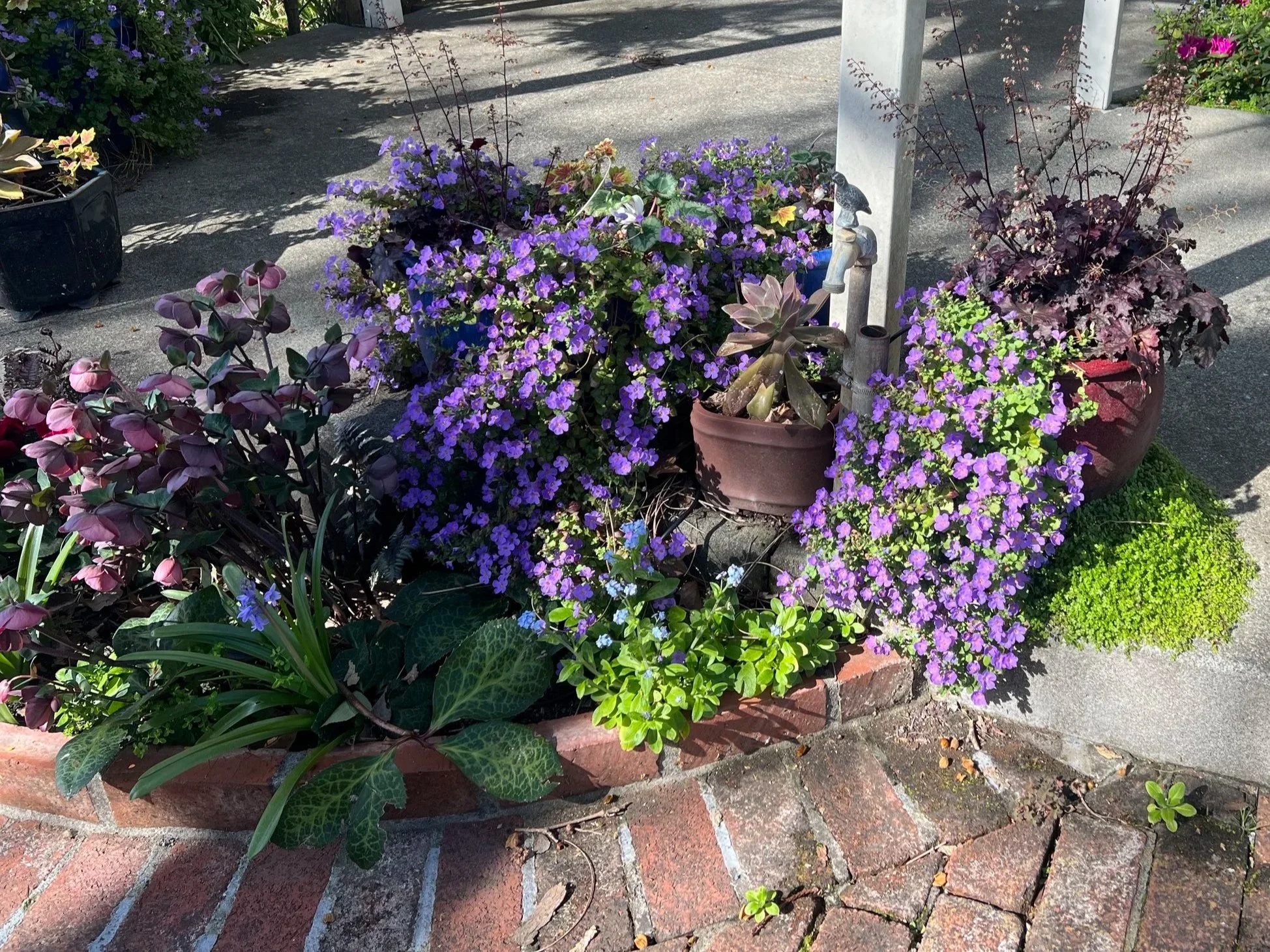 A variety of potted and planted flowers, including purple, pink, and green foliage, arranged on a brick-edged planter and sidewalk with a metal water faucet in a sunlit garden setting.