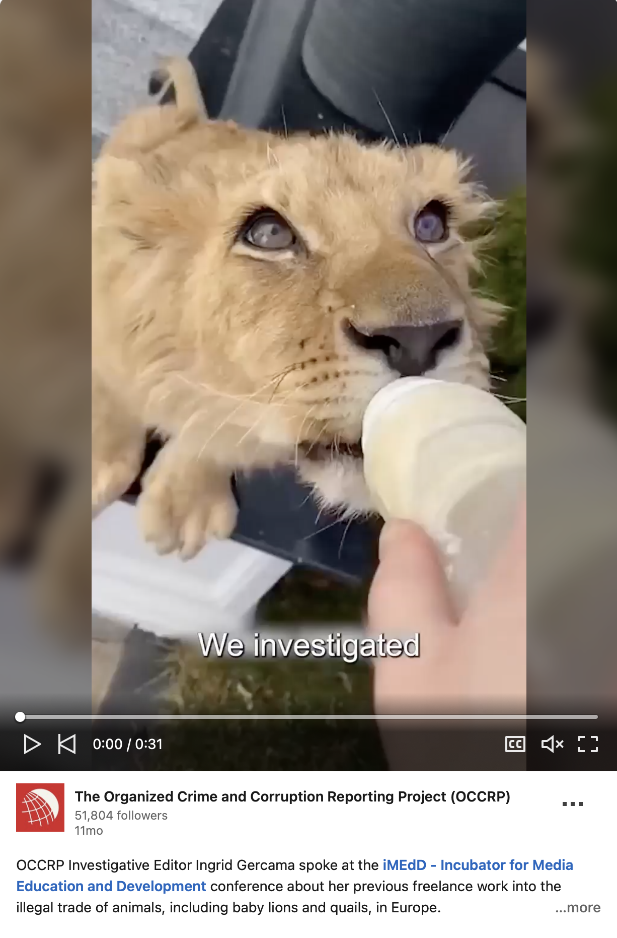 OCCRP Investigative Editor Ingrid Gercama spoke at the iMEdD - Incubator for Media Education and Development conference about her previous freelance work into the illegal trade of animals, including baby lions and quails, in Europe. Public speaking. 