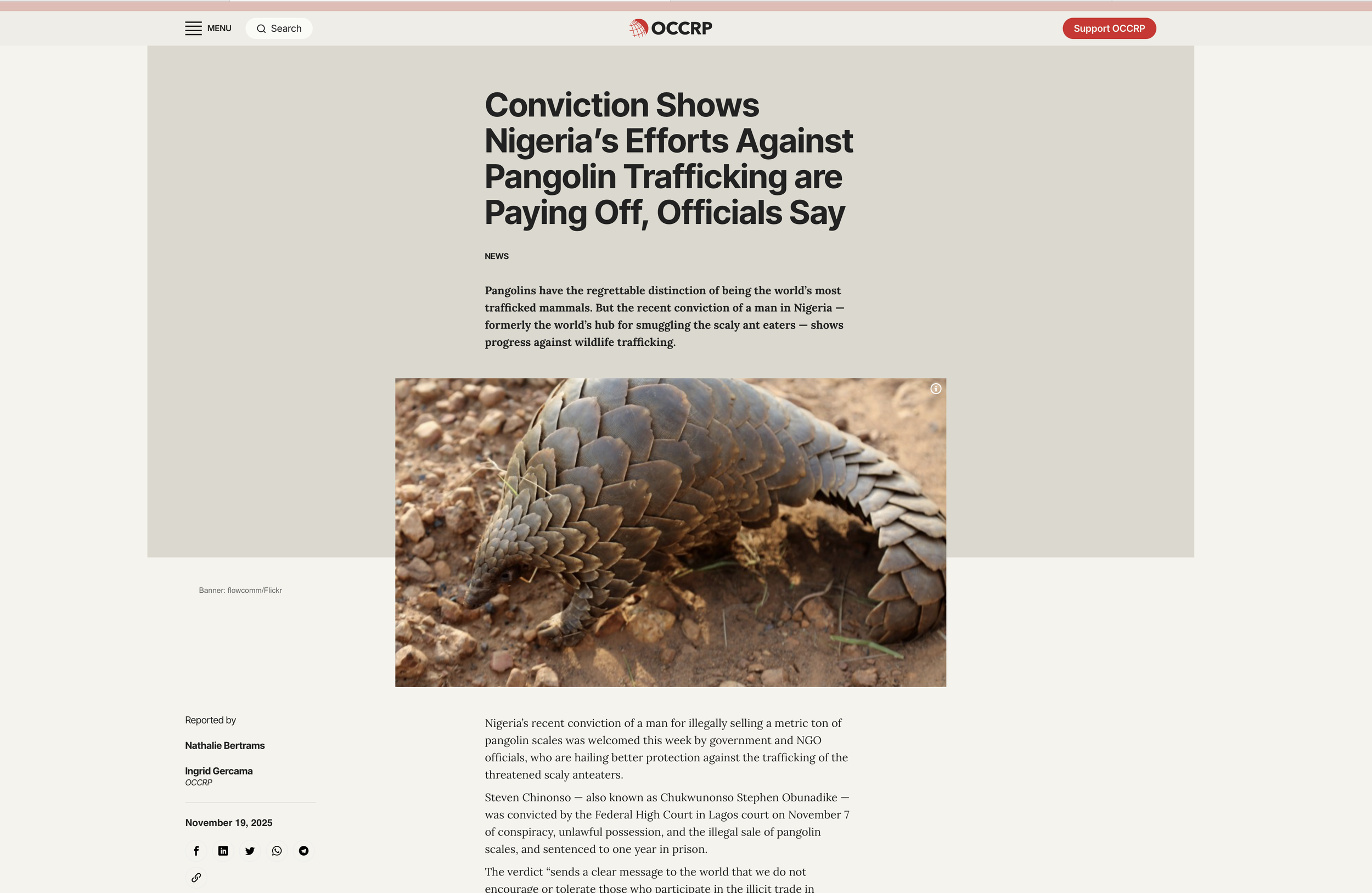 NEWS Pangolins have the regrettable distinction of being the world’s most trafficked mammals. But the recent conviction of a man in Nigeria — formerly the world’s hub for smuggling the scaly ant eaters — shows progress against wildlife trafficking. R
