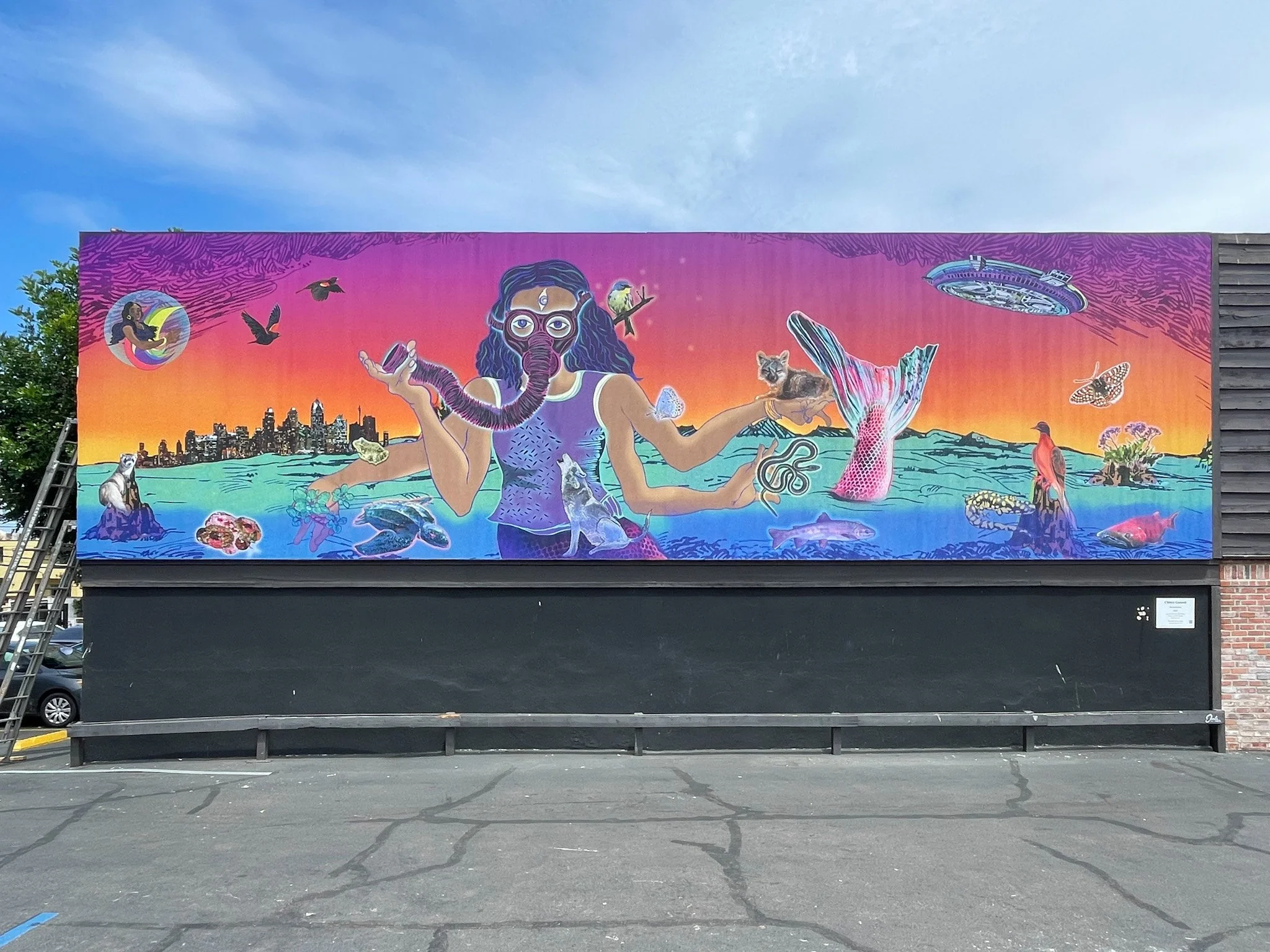 New La Jolla mural aims for ‘Resurgence’ in awareness of different species'