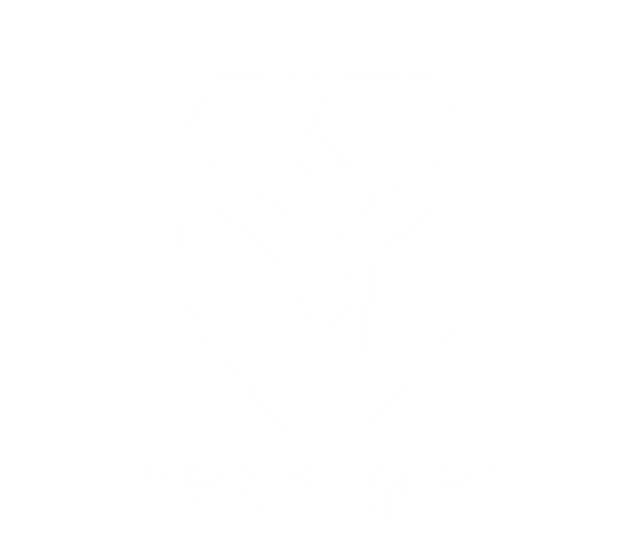 Black-and-white Sentinel logo featuring a stylized angular helmet above the word “SENTINEL.”
