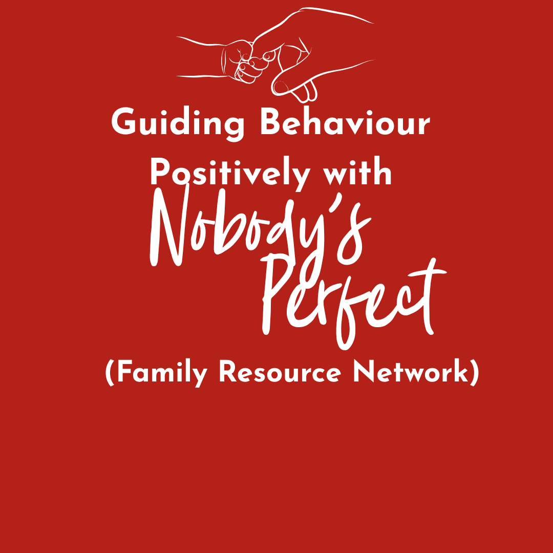 Guiding Behaviour Positively with Nobody's Perfect