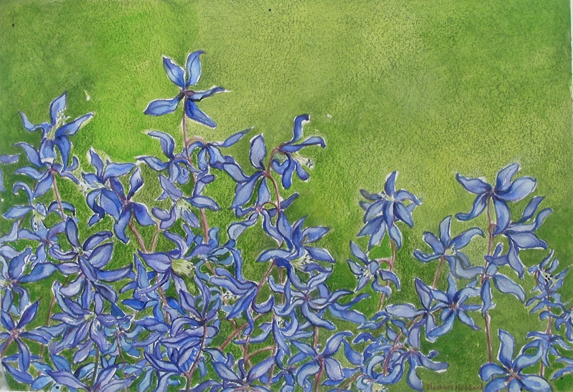 Solitary Optimists, 2001, watercolor and gouache on Arches paper, 8" x 11"