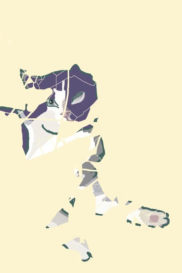 Pieces of Lazlo (2/3), 2012, digital painting printed on BFK Rives paper, 17” x 11”