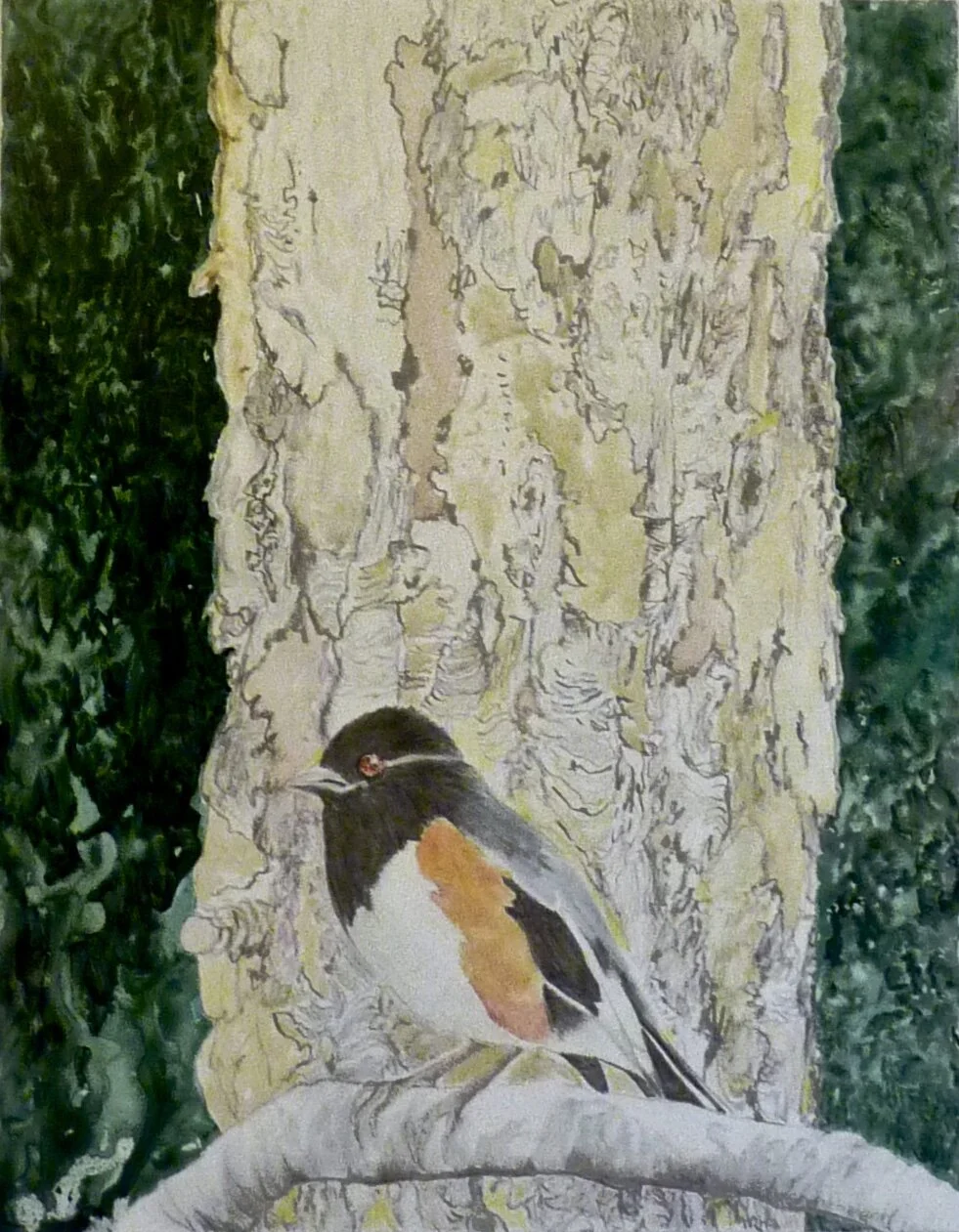 Wet Tohee, 2011, watercolor and colored pencil on Yupo paper, 14” x 11” 