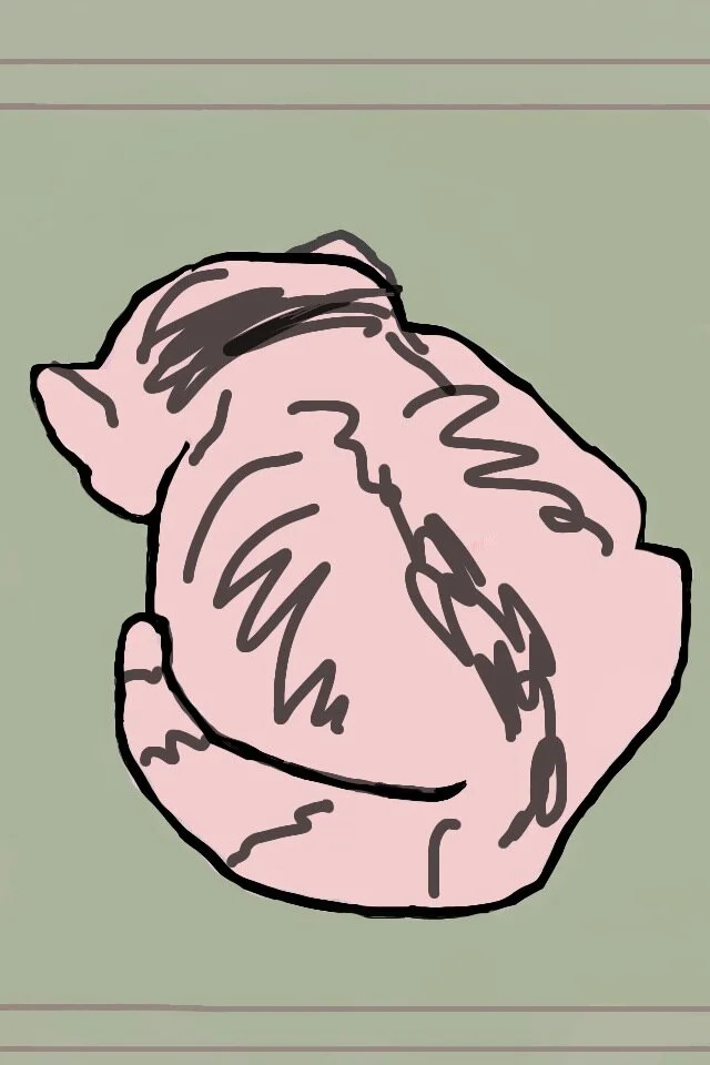 Academic Cat, 2012, digital painting printed on BFK Rives paper, 17" X 12"