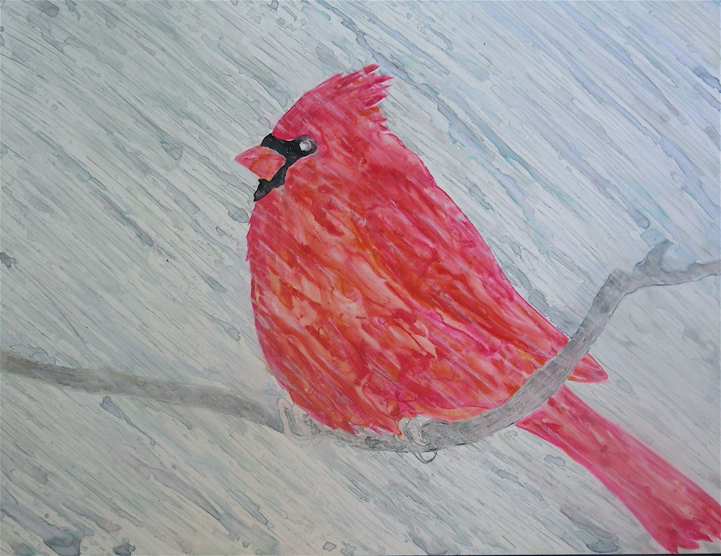 Wet Cardinal, 2008, watercolor and colored pencil on Yupo paper, 14” x 11”
