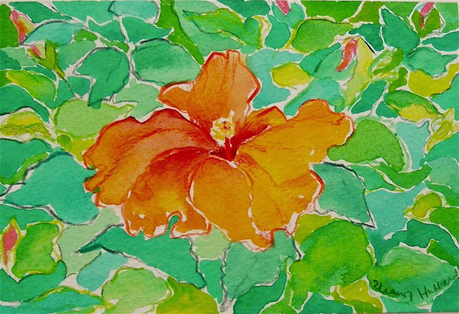 Hibiscus in September, 1994, colored pencil and gouache on Arches paper, 5” x 6.2”